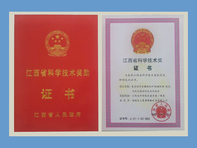 太阳城官网(中国)集团有限公司