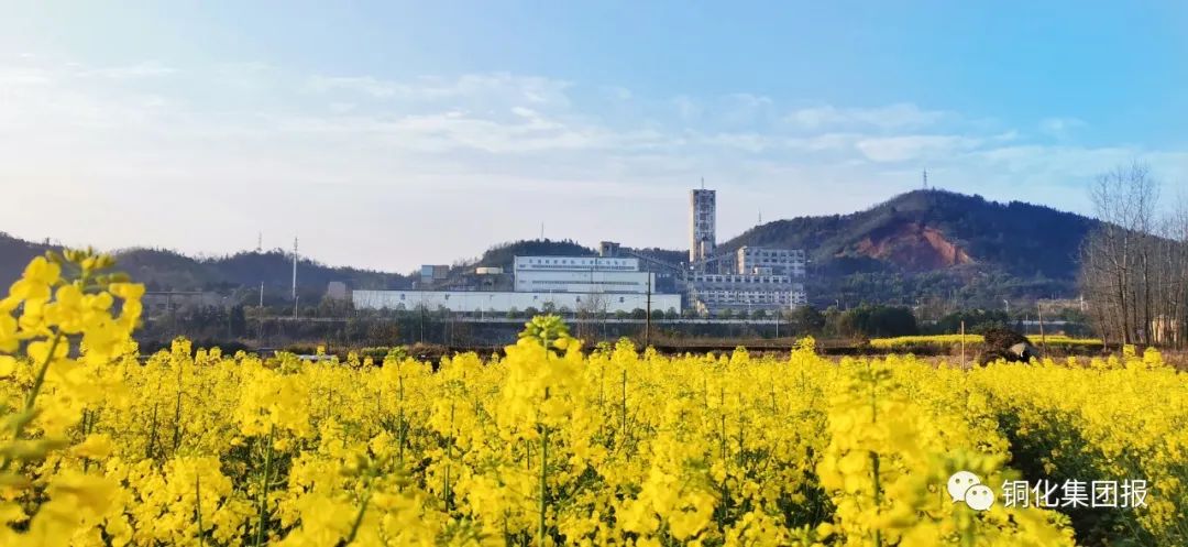 太阳城官网(中国)集团有限公司