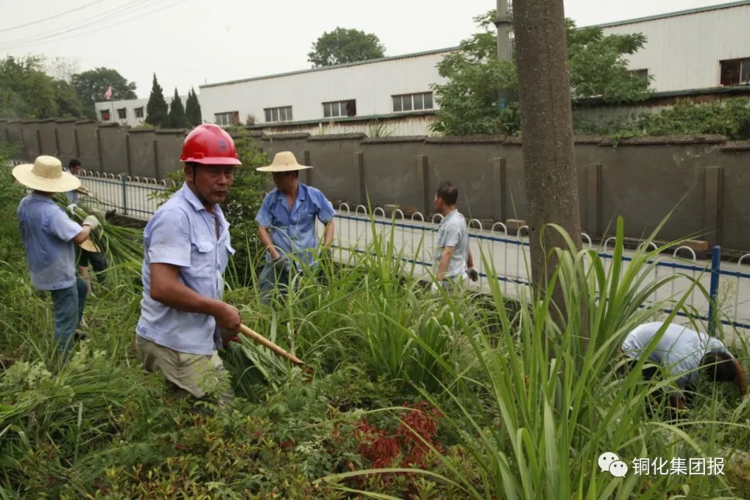 太阳城官网(中国)集团有限公司