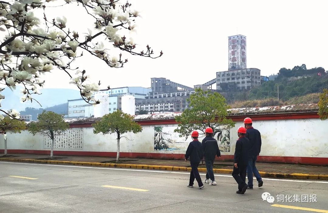 太阳城官网(中国)集团有限公司