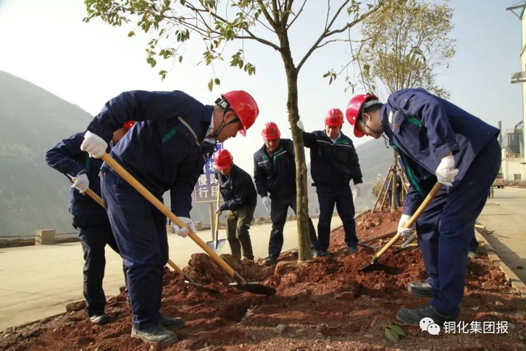 太阳城官网(中国)集团有限公司