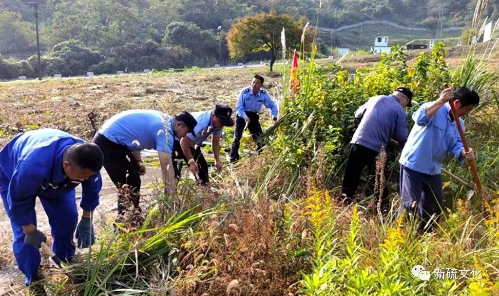 太阳城官网(中国)集团有限公司