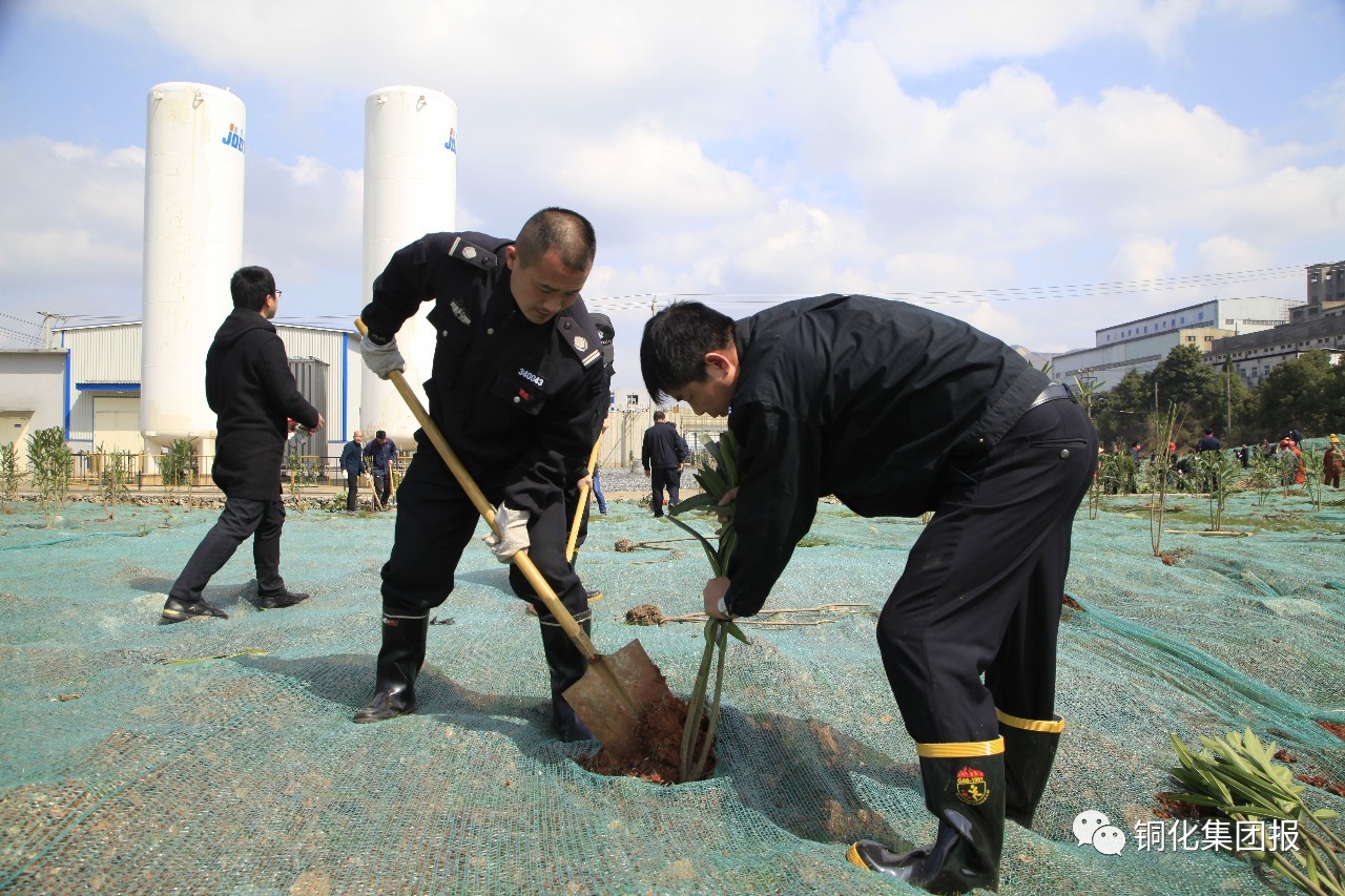 太阳城官网(中国)集团有限公司
