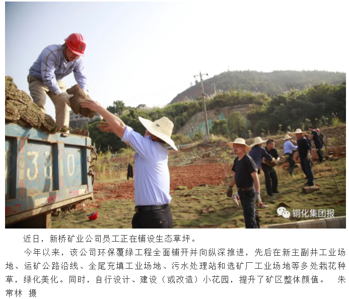 太阳城官网(中国)集团有限公司